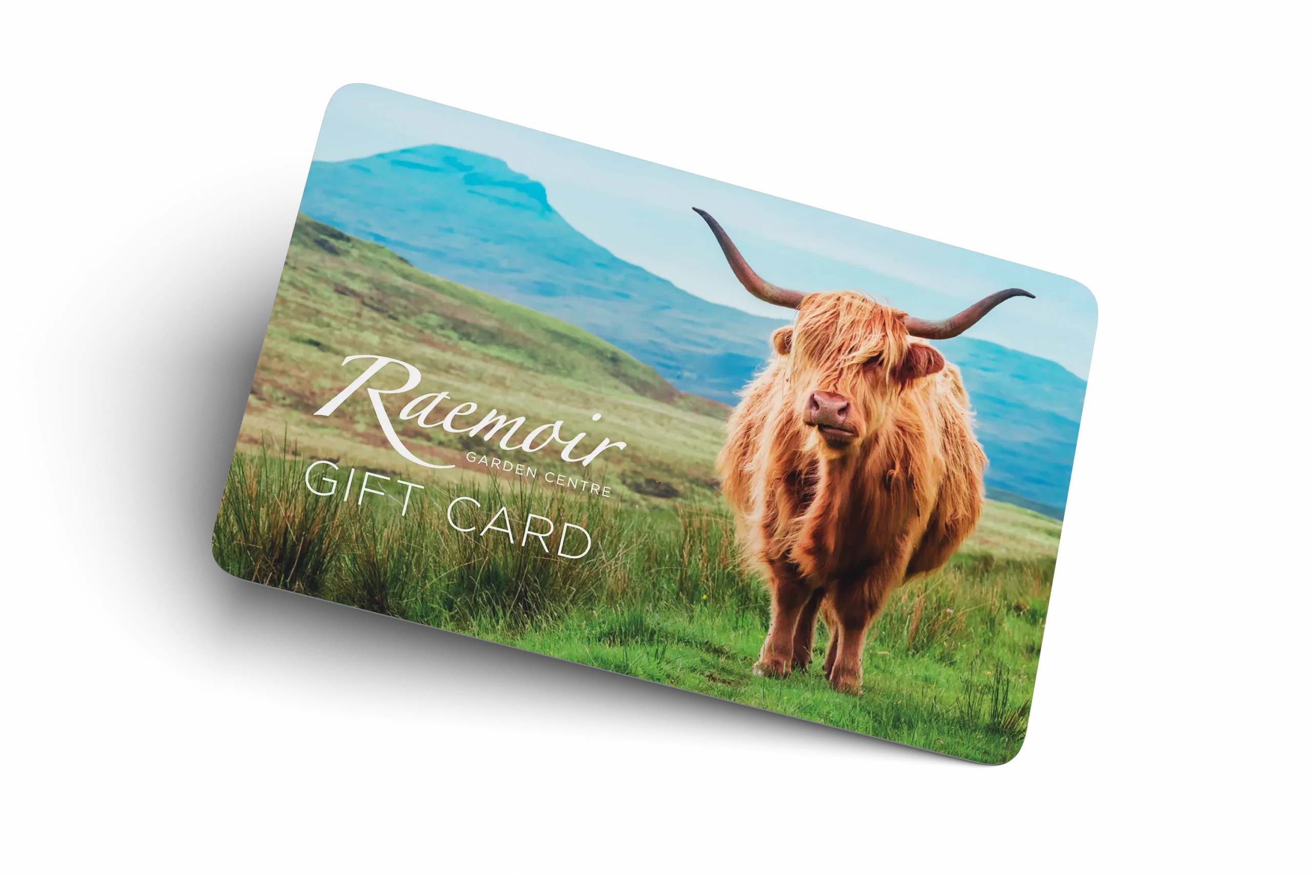 Gift card printing UK – custom plastic gift cards by ACB