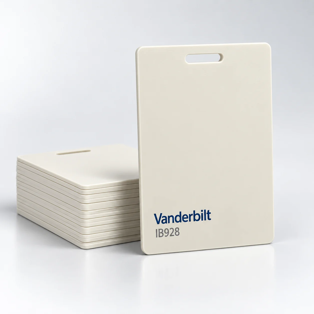 Vanderbilt IB928 – product illustration